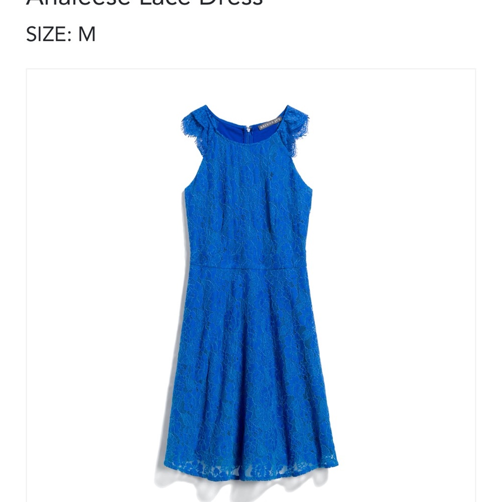 Brixon Ivy Analeese Lace Dress in Cobalt NWT Medium Sleeveless Stitch Fix